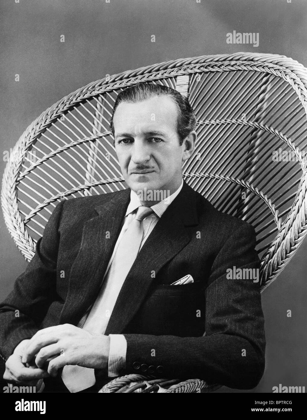 David Niven, Movie Star Painting by Esoterica Art Agency - Fine