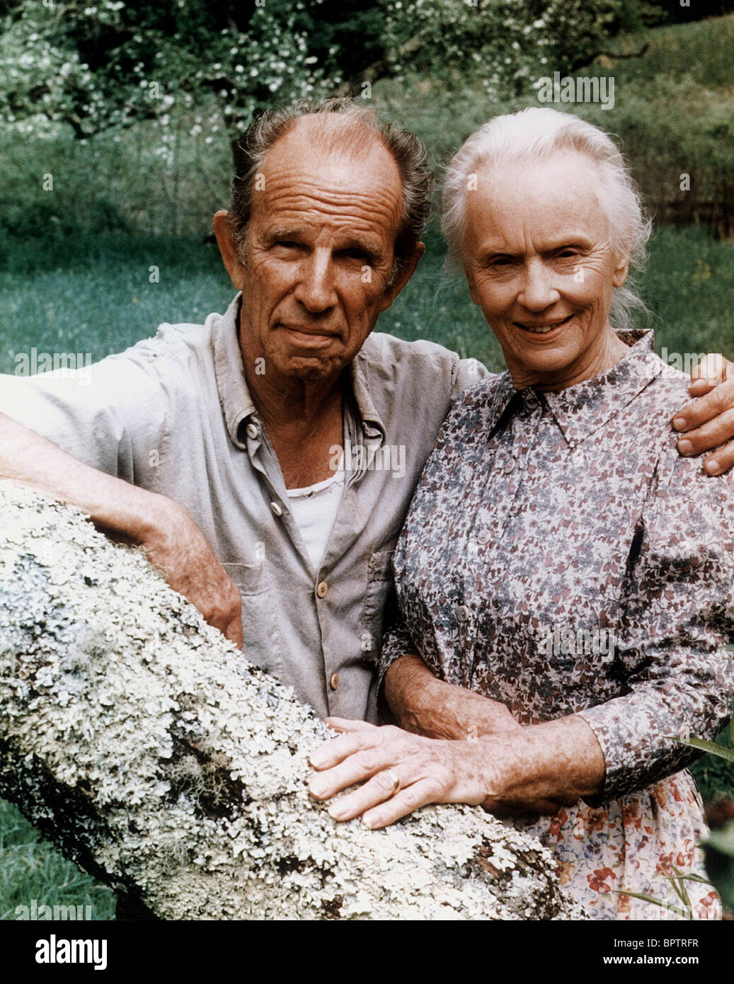Pictures of jessica tandy