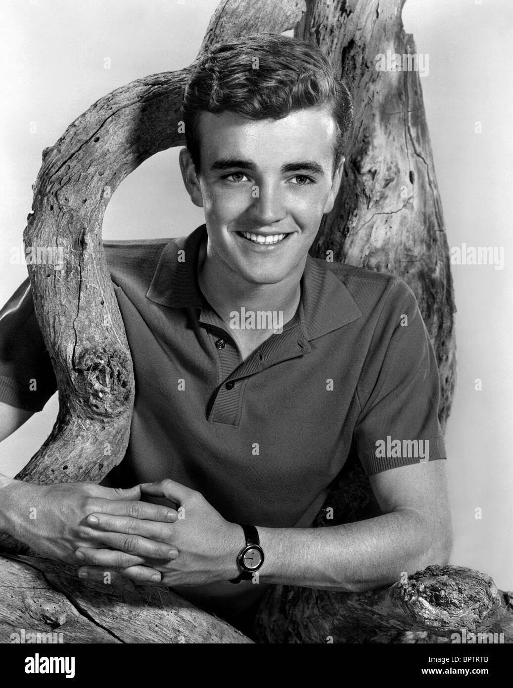 ROBERT WALKER JR. ACTOR (1963 Stock Photo - Alamy