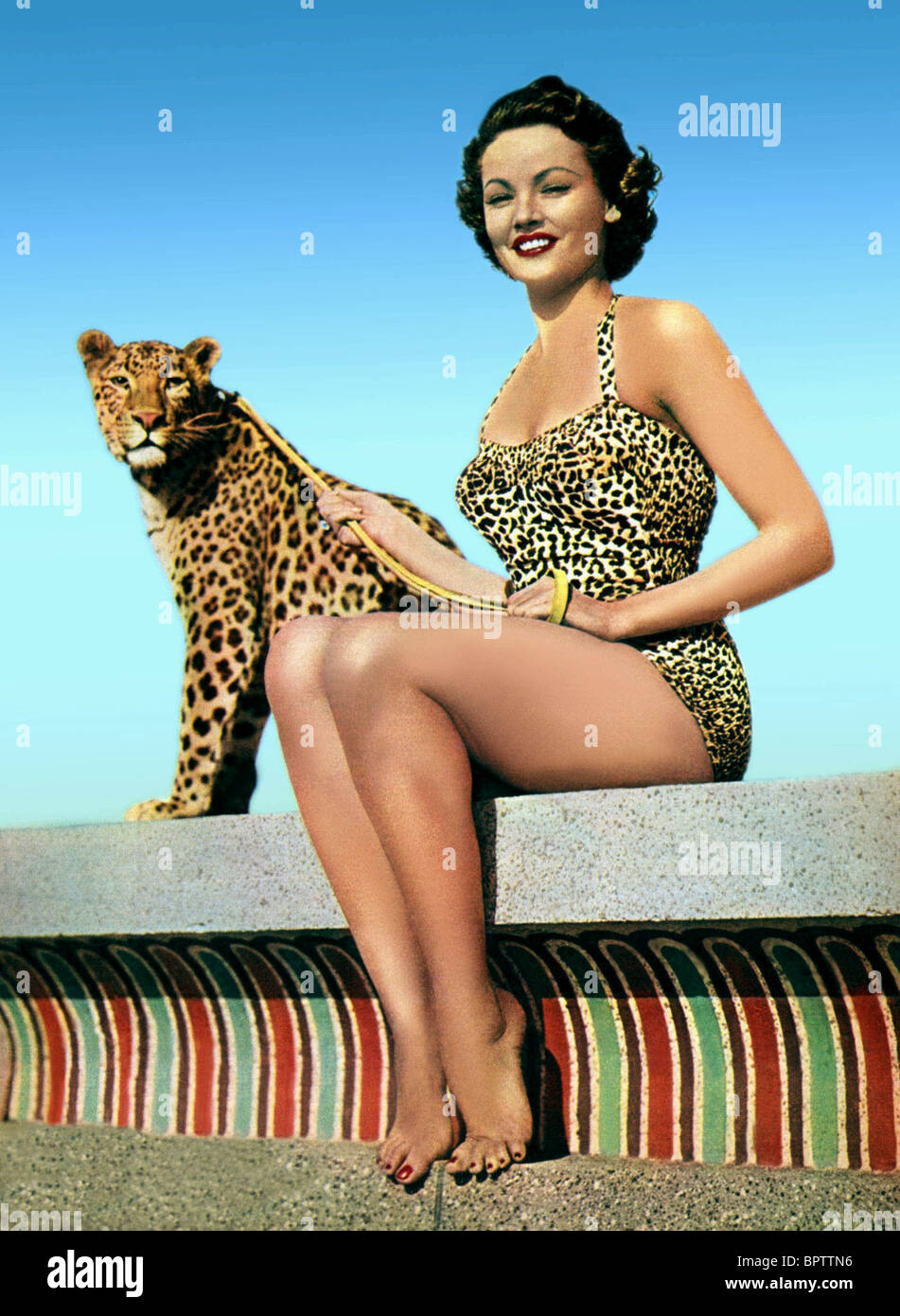 GENE TIERNEY & LEOPARD ACTRESS (1953) Stock Photo