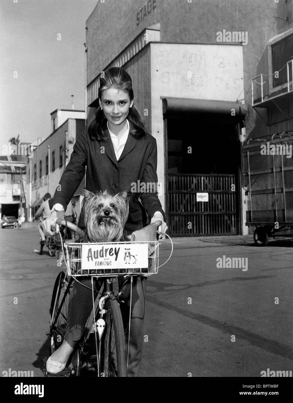 AUDREY HEPBURN WITH DOG ACTRESS (1961) Stock Photo