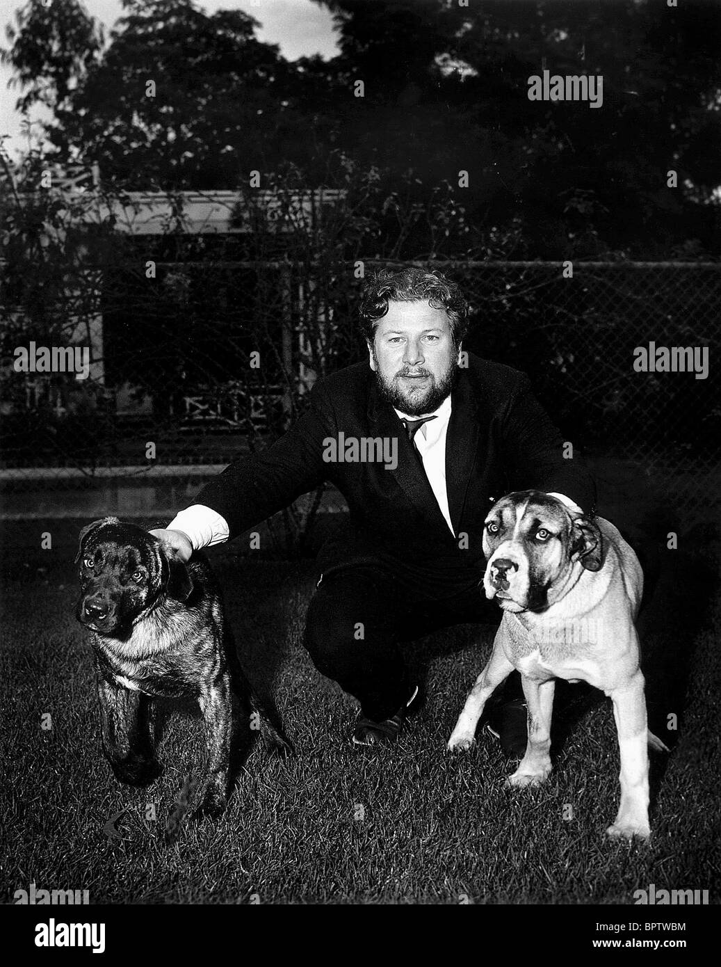 PETER USTINOV WITH DOGS ACTOR (1960) Stock Photo