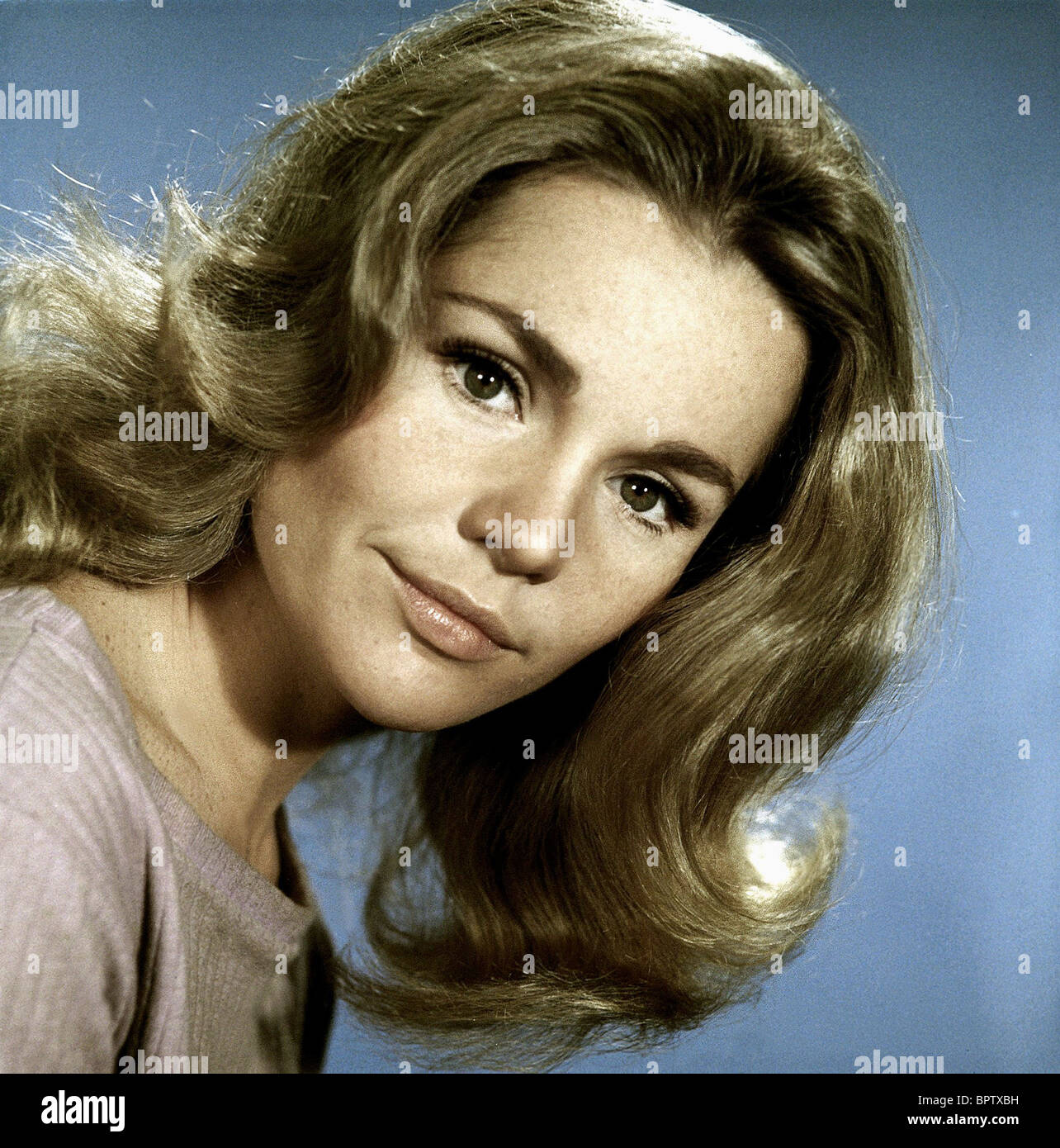 Tuesday weld tuesday weld tuesday hi-res stock photography and