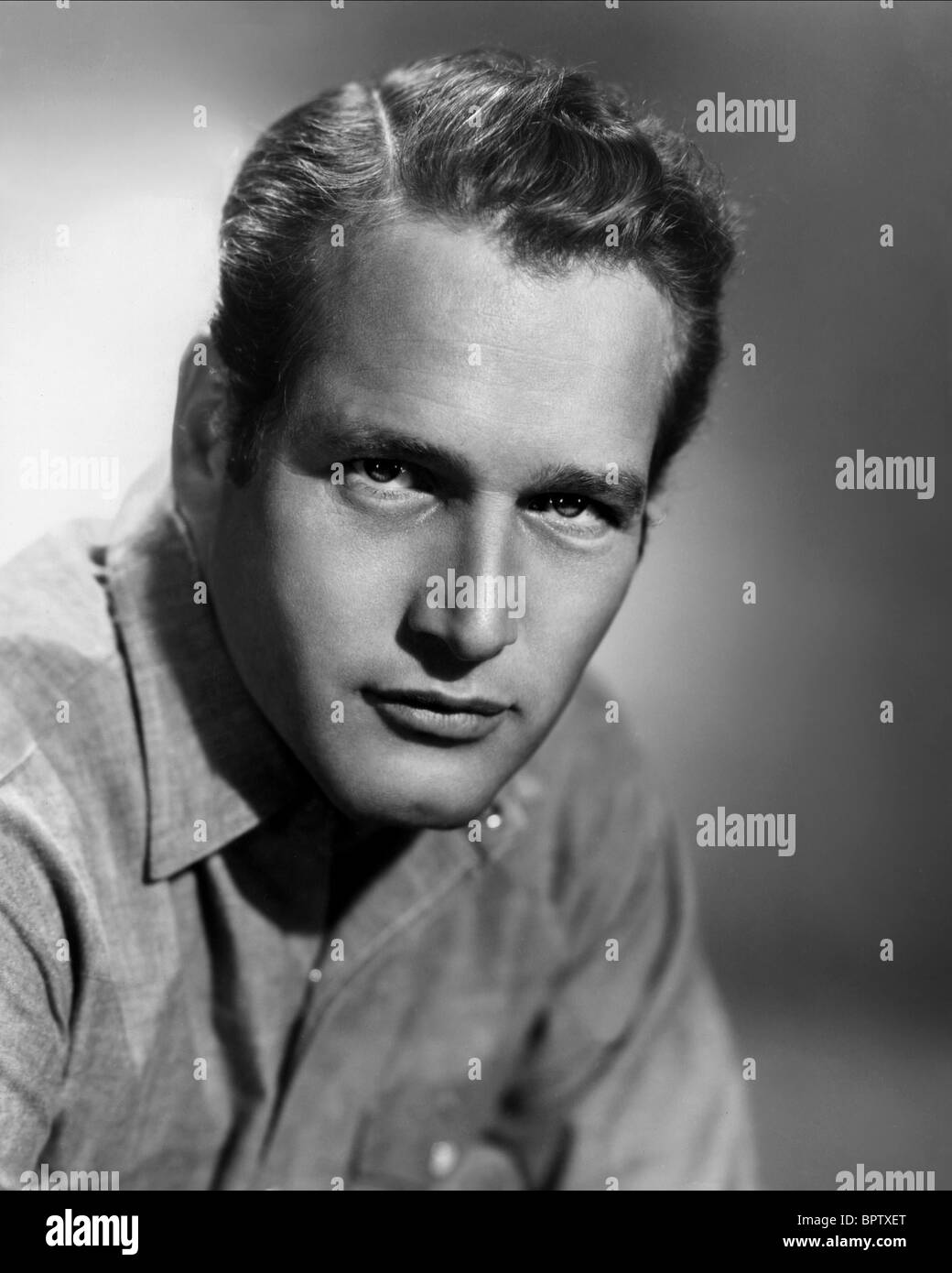PAUL NEWMAN ACTOR (1959 Stock Photo Alamy