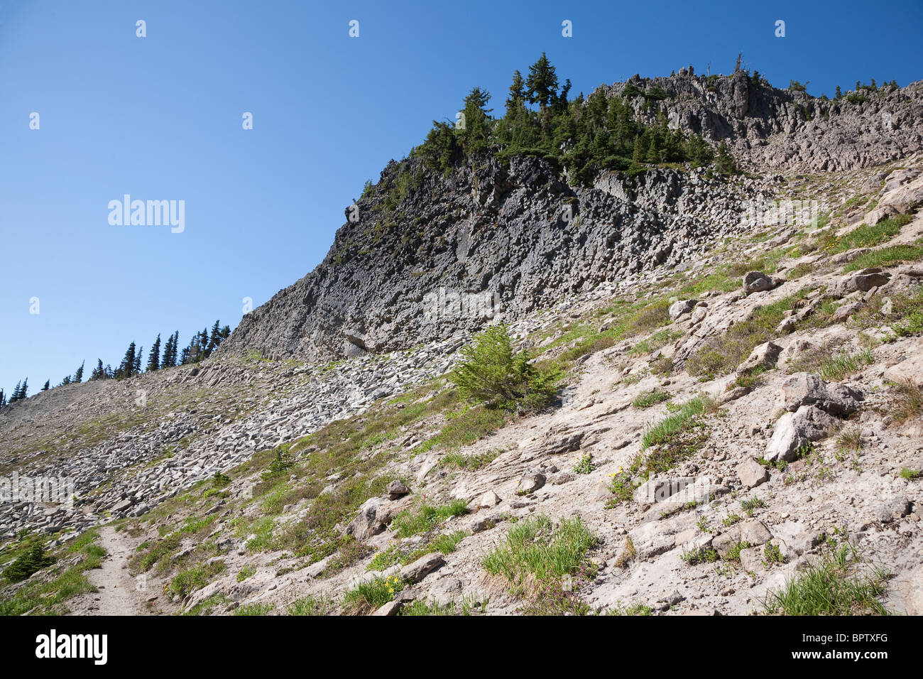 Columnar basalt outcropping along the Pacific Crest Trail - Cispus Pass ...