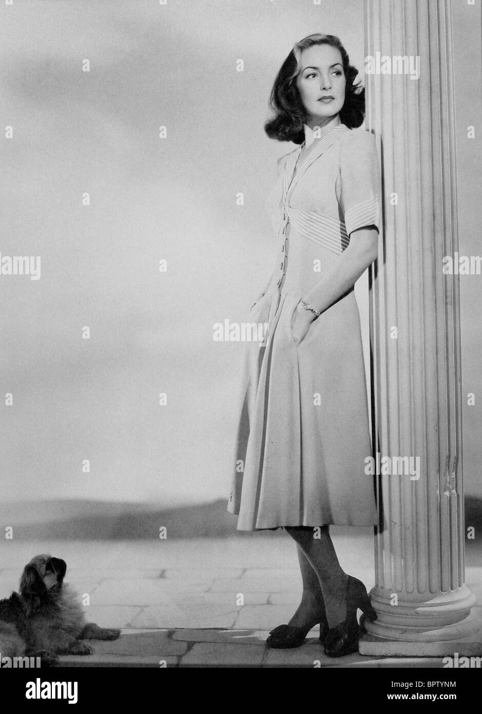 Patricia roc hi-res stock photography and images - Alamy