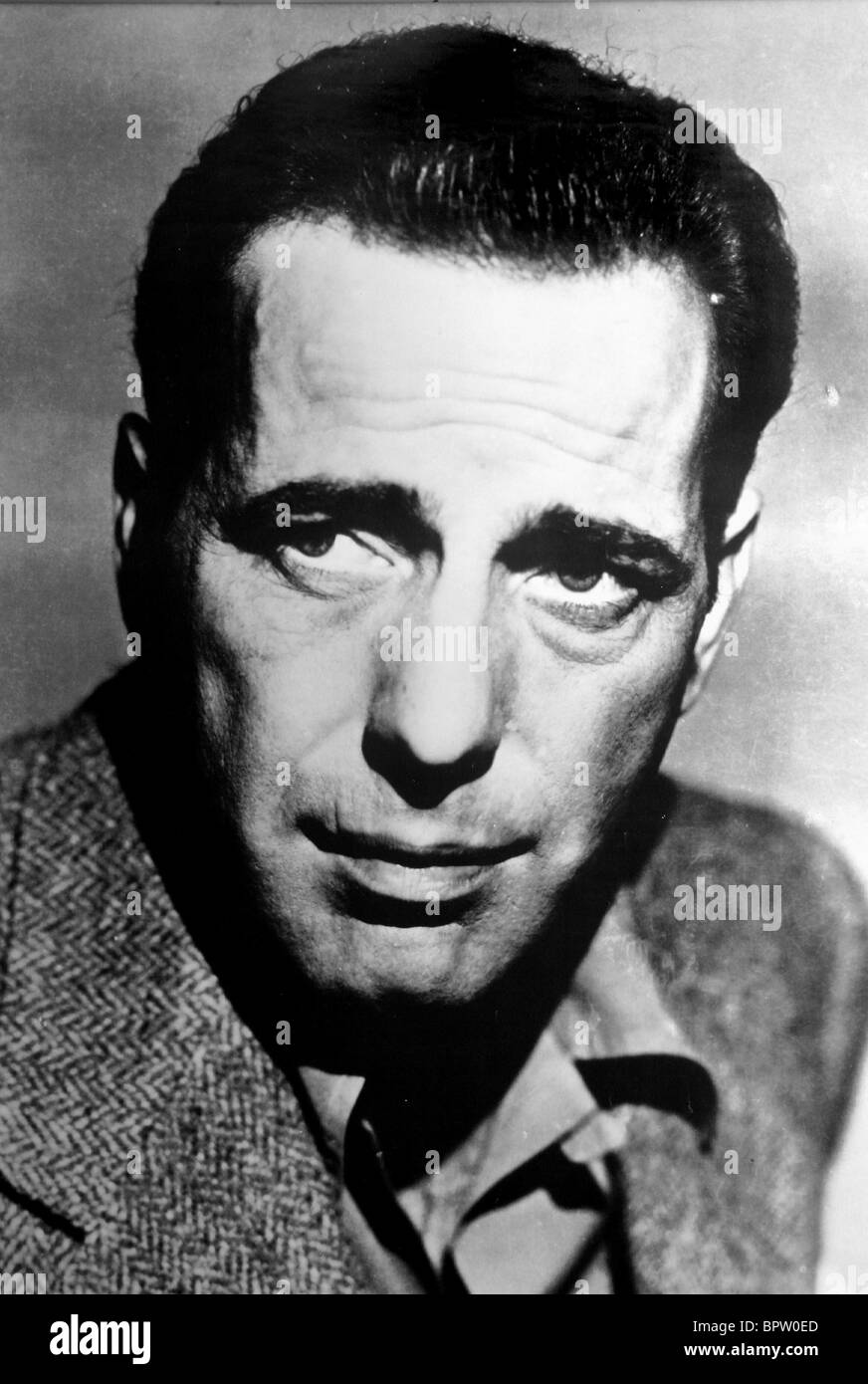 HUMPHREY BOGART ACTOR (1958 Stock Photo Alamy