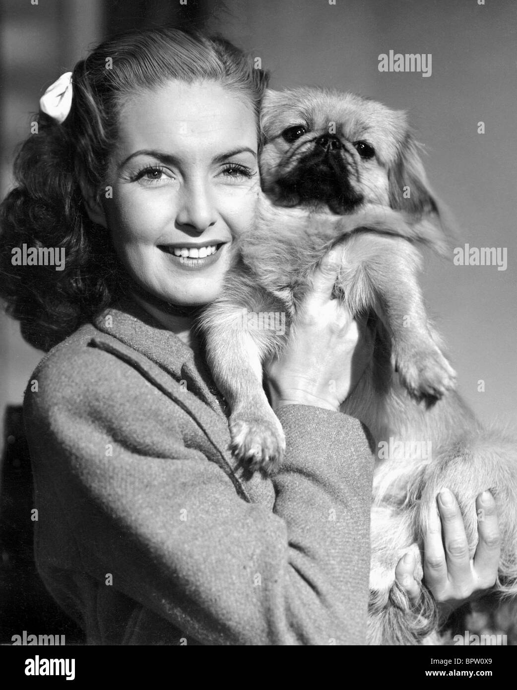 Patricia roc hi-res stock photography and images - Alamy