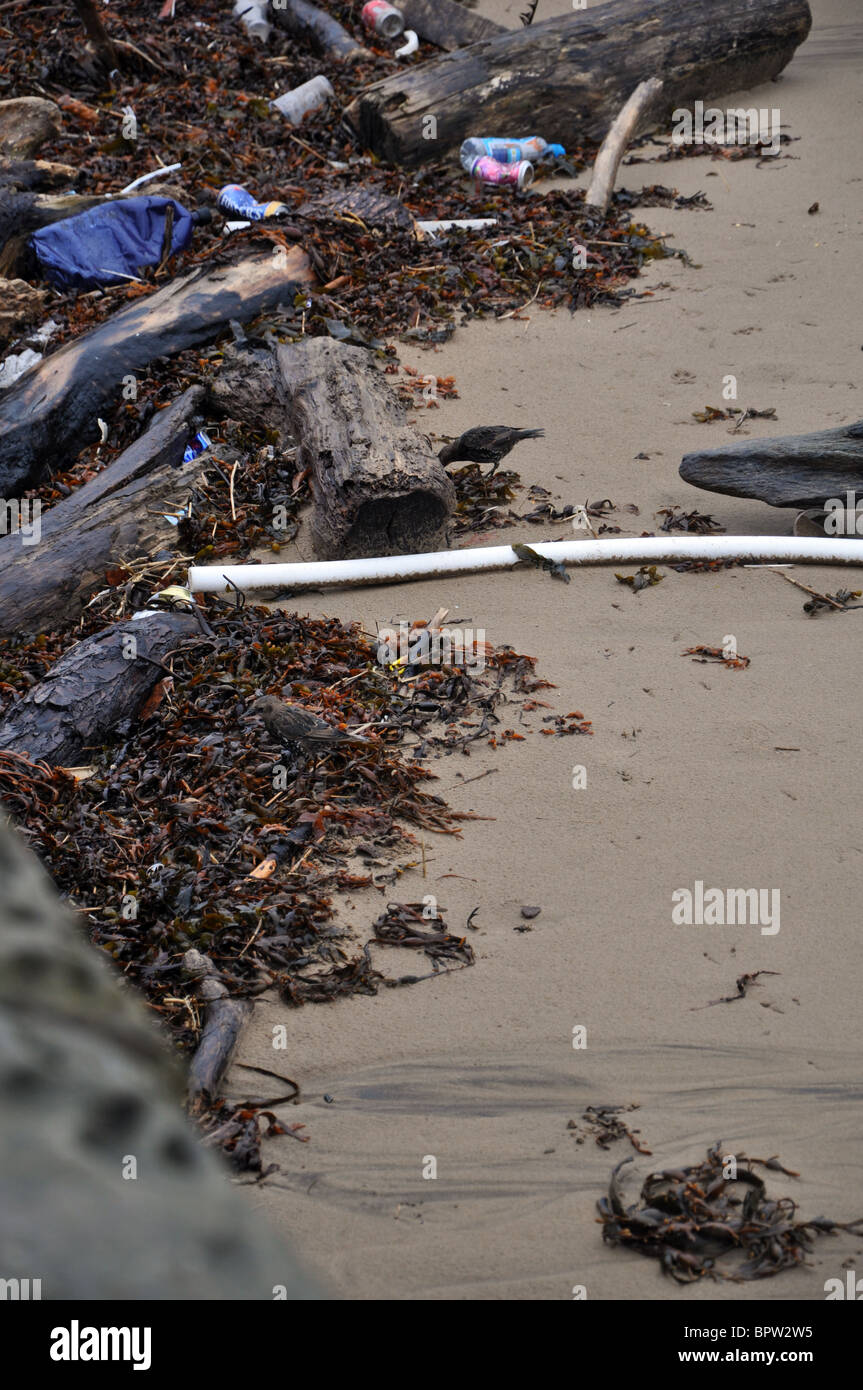 rubbish that has collected against the sea wall at weston super mare