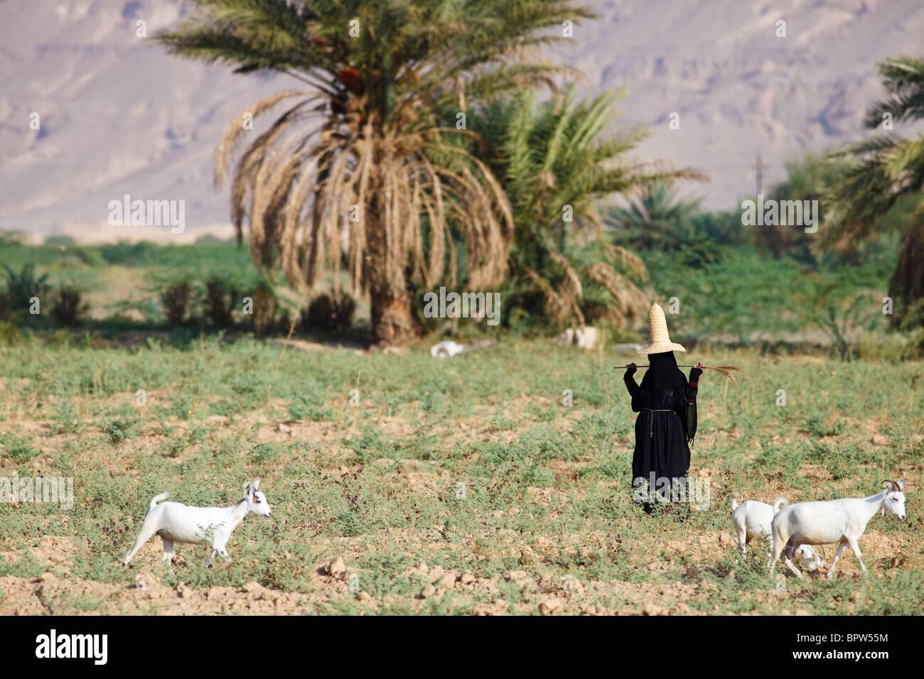 Veiled yemeni woman hi-res stock photography and images - Alamy