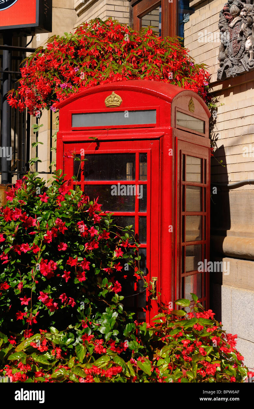 Old English style red telephone box or booth surrounded by red flowers in Toronto Stock Photo