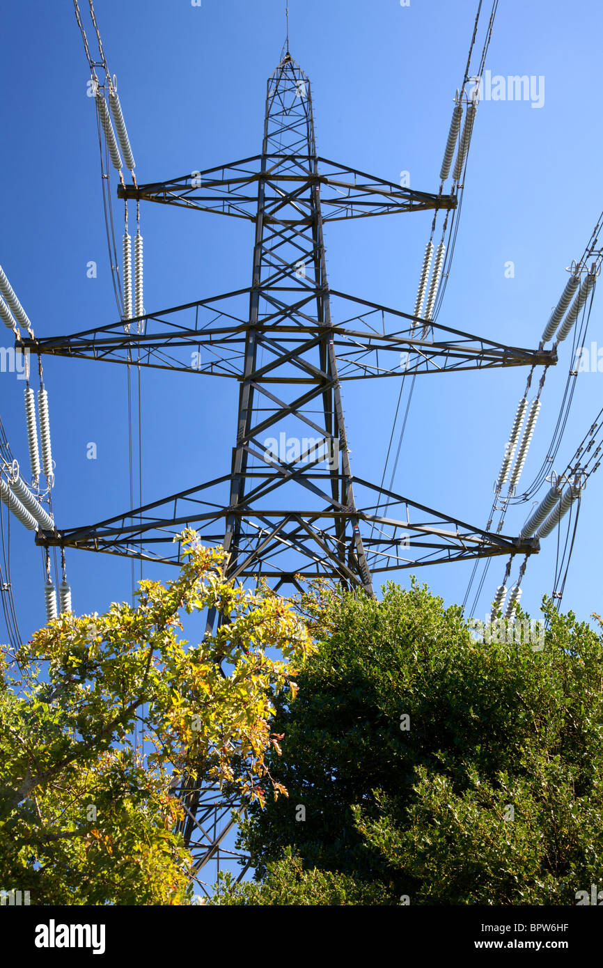 Electricity pylon at Fishpond Bottom, Dorset Stock Photo