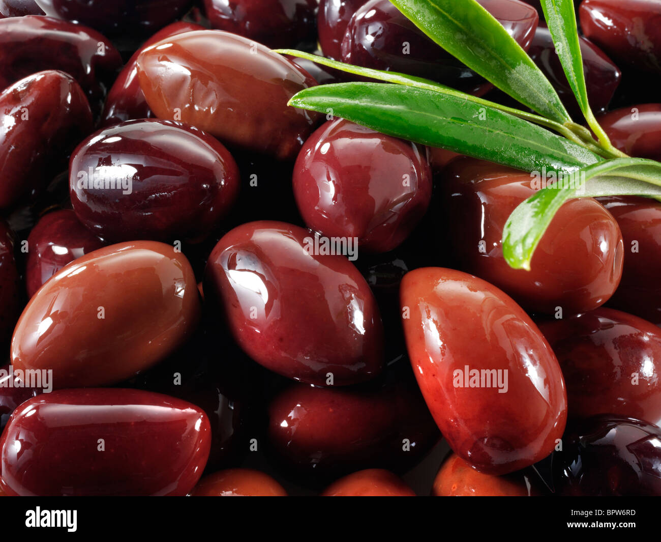 Fresh Kalamata olives photos, pictures & images. Stock Photo