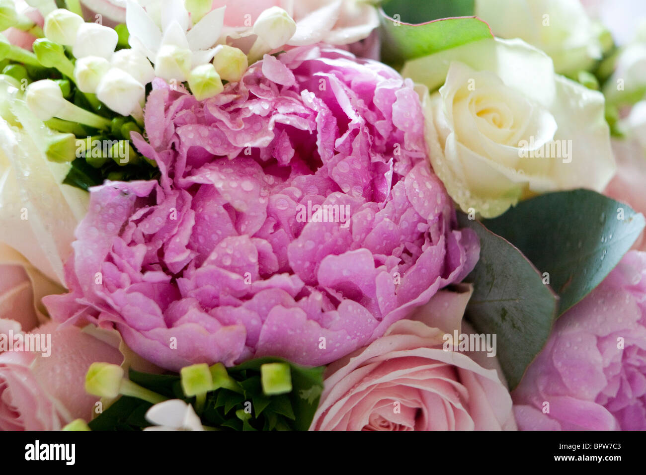 Wedding Bouquet with pink peony Stock Photo