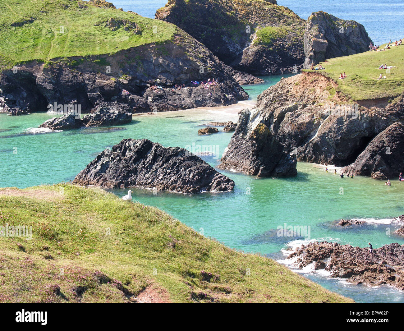 Cliffs, rocks, islands and beach at Kynance Cove, Cornwall, UK Stock ...