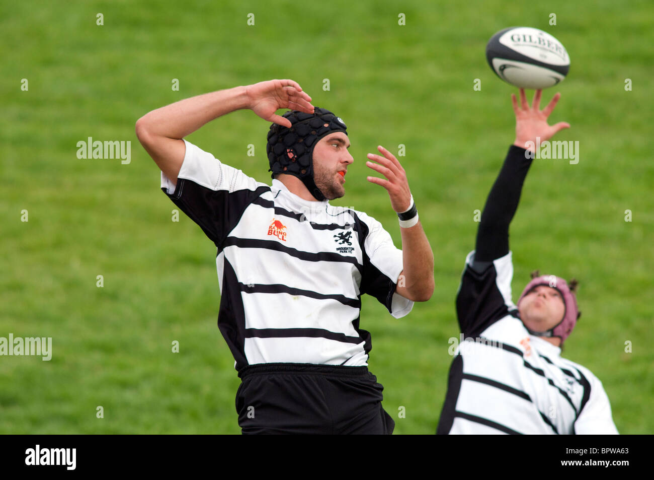 line-out action during rugby match Stock Photo