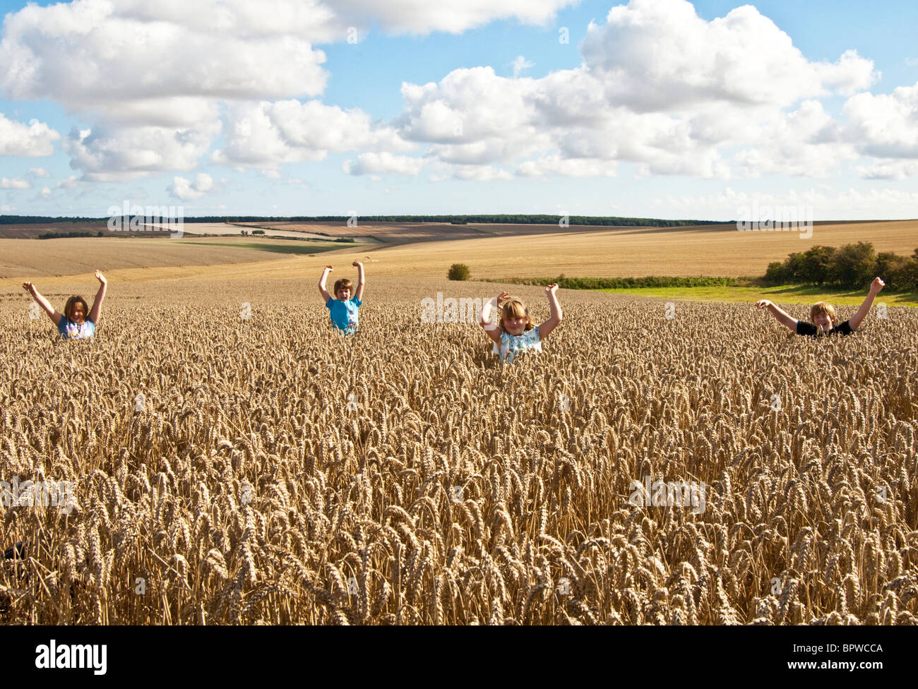 Children jumping in a wheat field Stock Photo Alamy