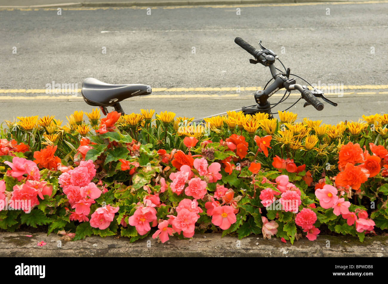 Bicycle and flower bed Stock Photo Alamy
