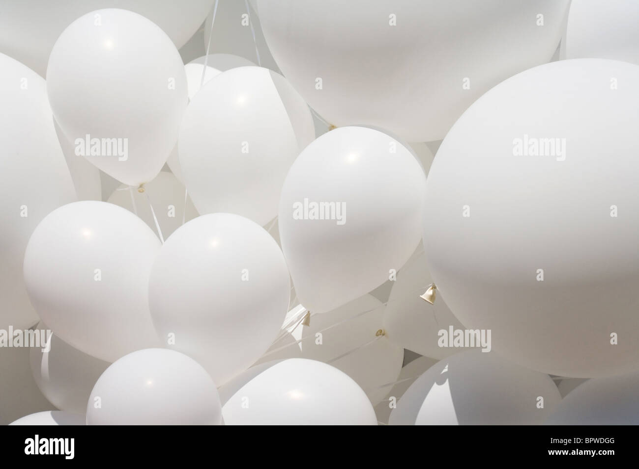 White Balloon for background use Stock Photo - Alamy