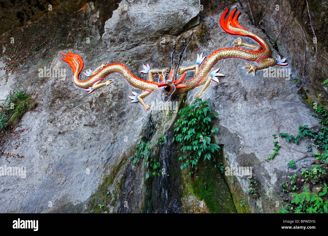 Dragon headed sculture in the rocks, Sikkim, India Stock Photo - Alamy