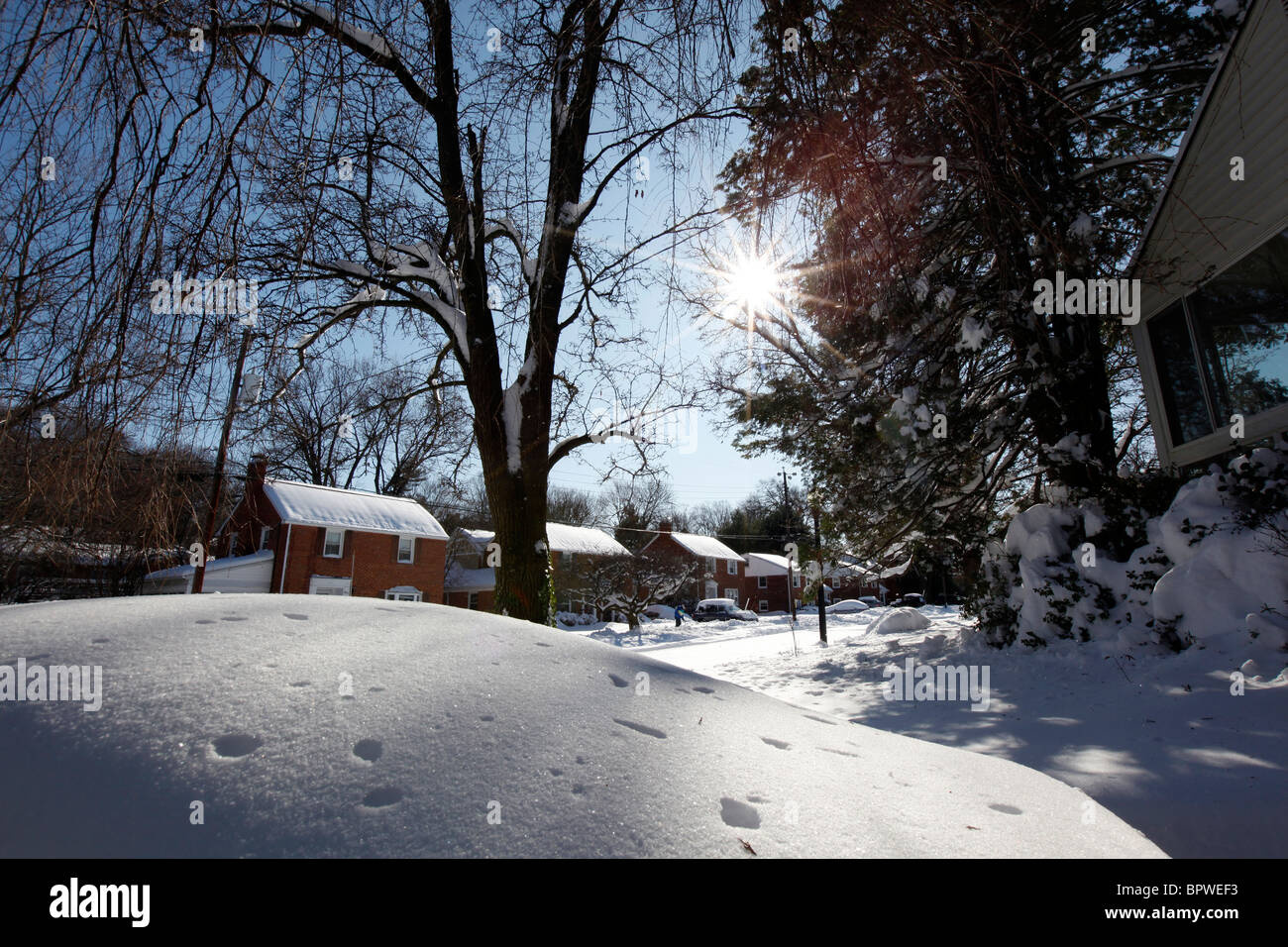 Snow scene in Arlington, Virginia on December 20, 2010 Stock Photo Alamy
