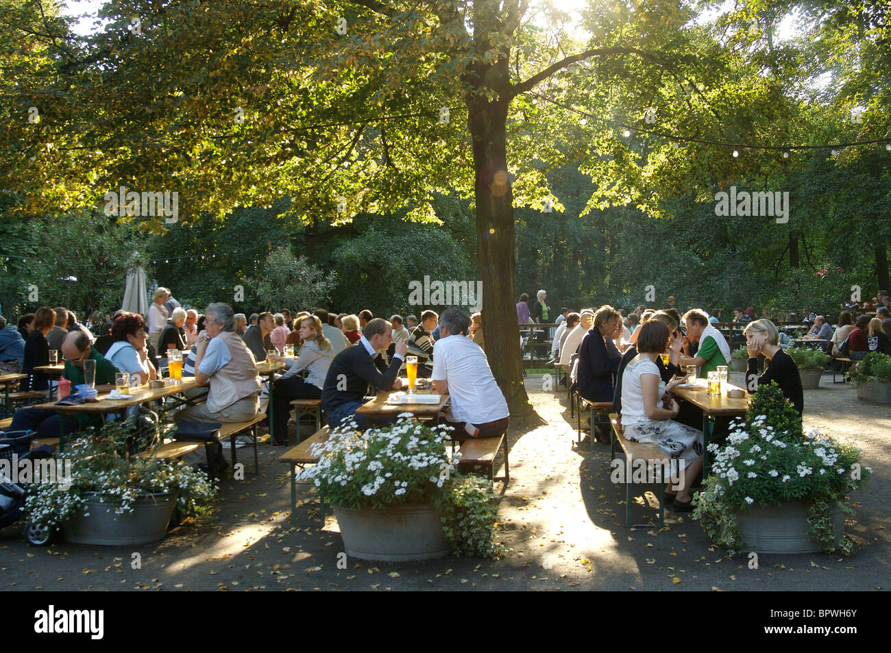 People under a shady tree at Am Neuen See cafe terrace at the end of the day in Berlin Stock Photo