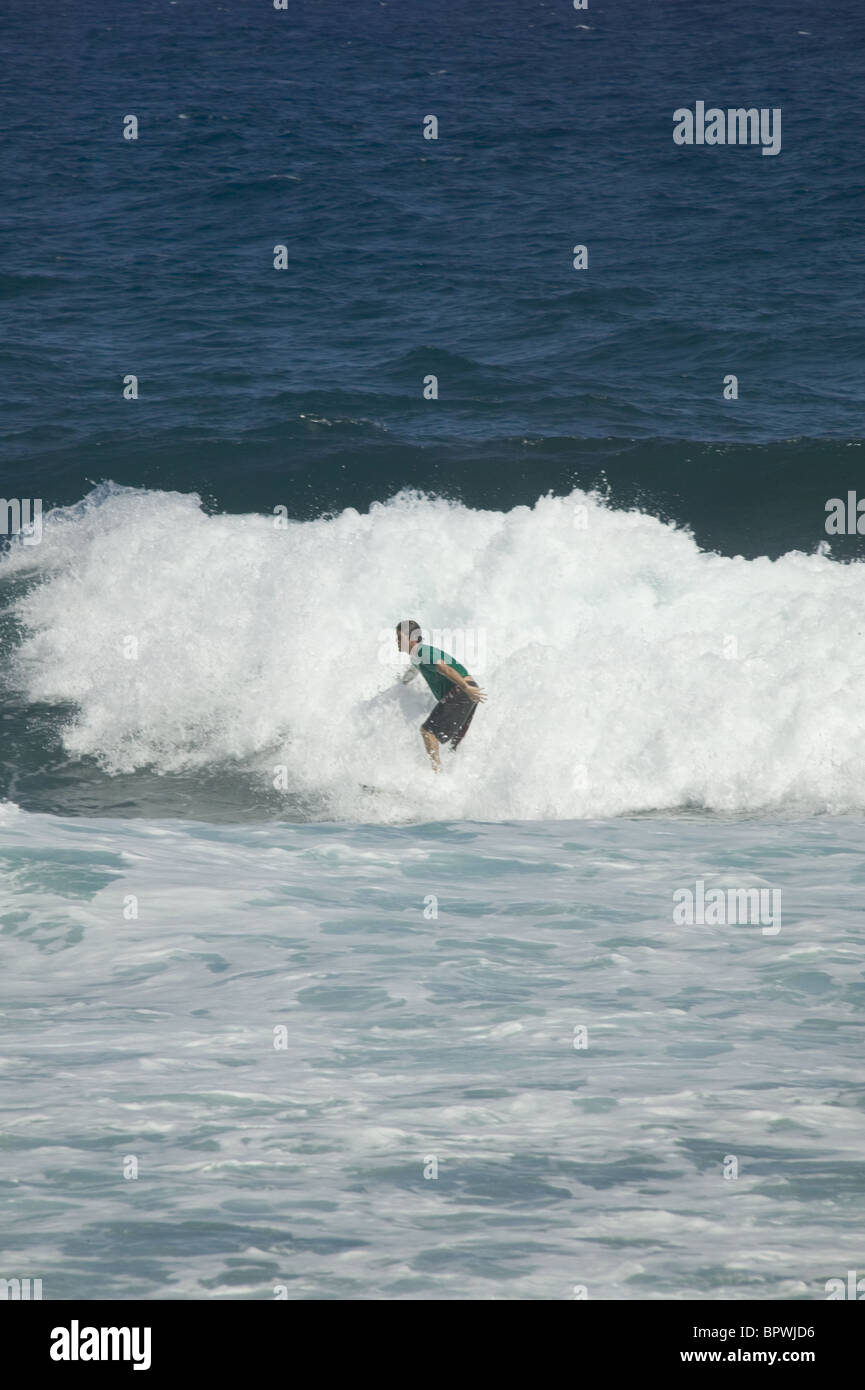 Soup bowl barbados hires stock photography and images Alamy