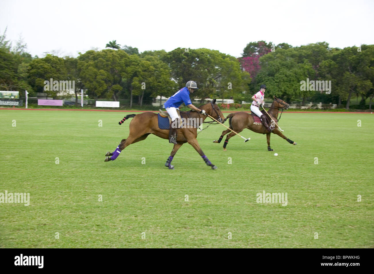 Polo match in progress at Barbados Polo Club in Barbados in the