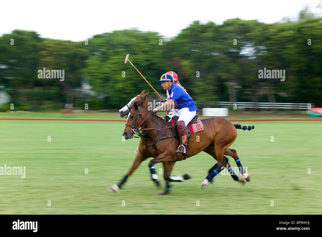 Polo match in progress at Barbados Polo Club in Barbados in the