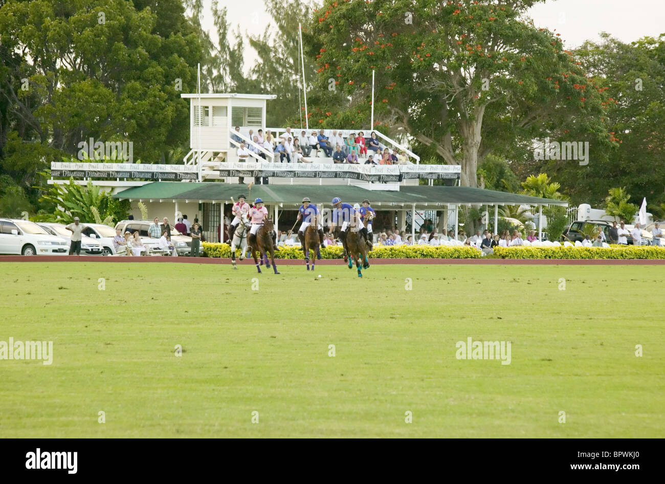 Polo match in progress at Barbados Polo Club in Barbados in the