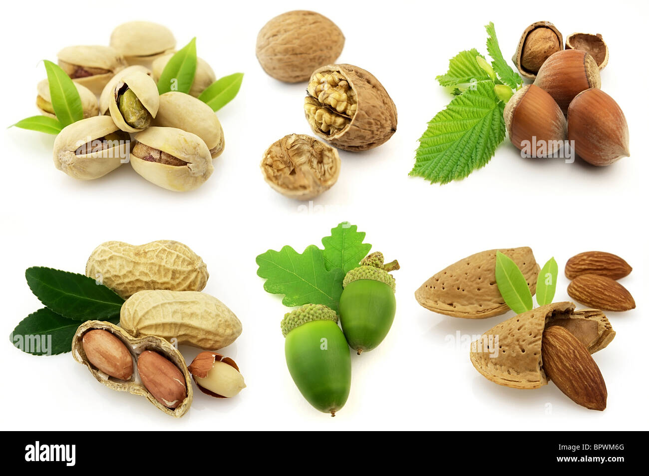 Full-size composite photo of various isolated nuts with realistic drop ...