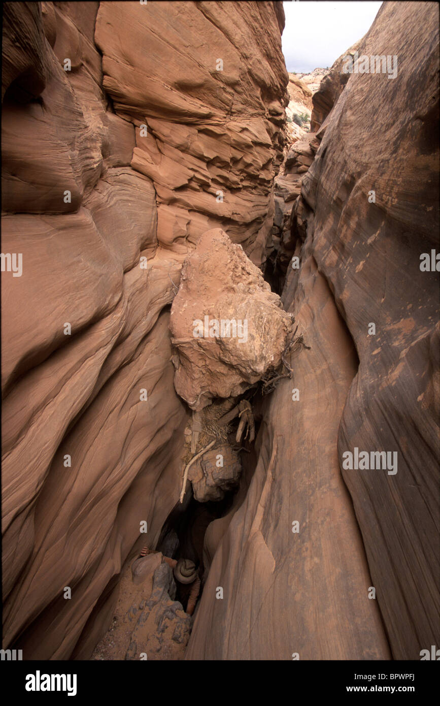 A man nearly hidden in the deep sandstone slot of lower Blue John Canyon, on the Colorado Plateau, Utah Stock Photo