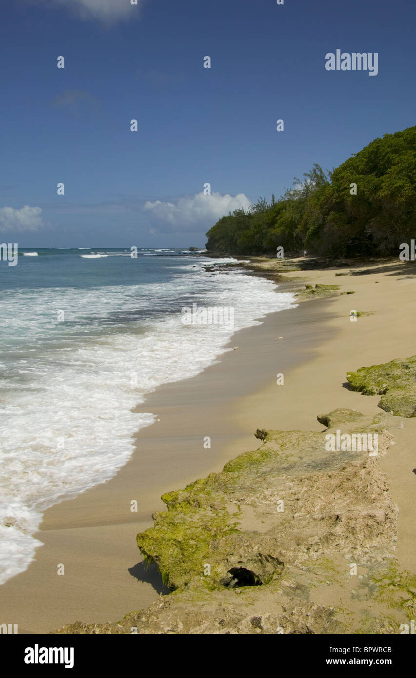 Harrison point barbados hires stock photography and images Alamy