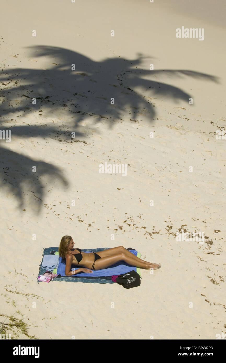 Beautiful lady sunbathing on beach next to shade of coconut palm tree, Bottom Bay Stock Photo