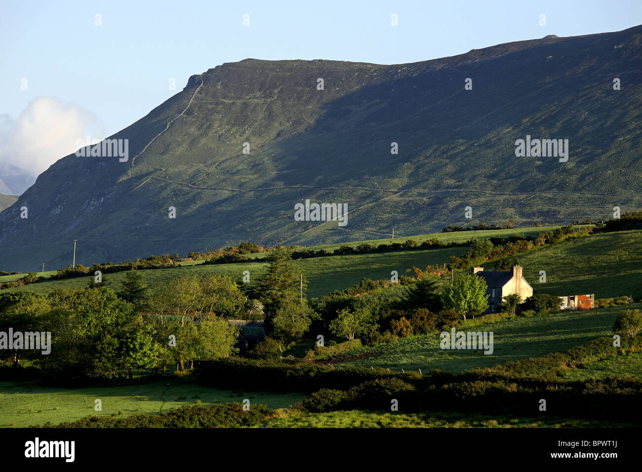 Cottage Farmland Landscape near Dingle, County Kerry Ireland Stock Photo