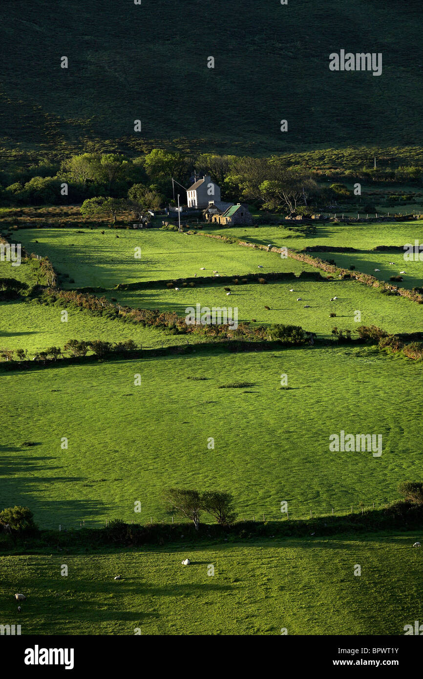 Cottage Farmland near Dingle, County Kerry Ireland Stock Photo
