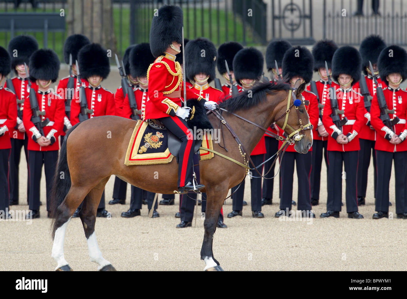 Lt Col Roland 'Roly' Walker, Field Officer and 'boss' of the parade. 'Trooping the Colour' 2010 Stock Photo