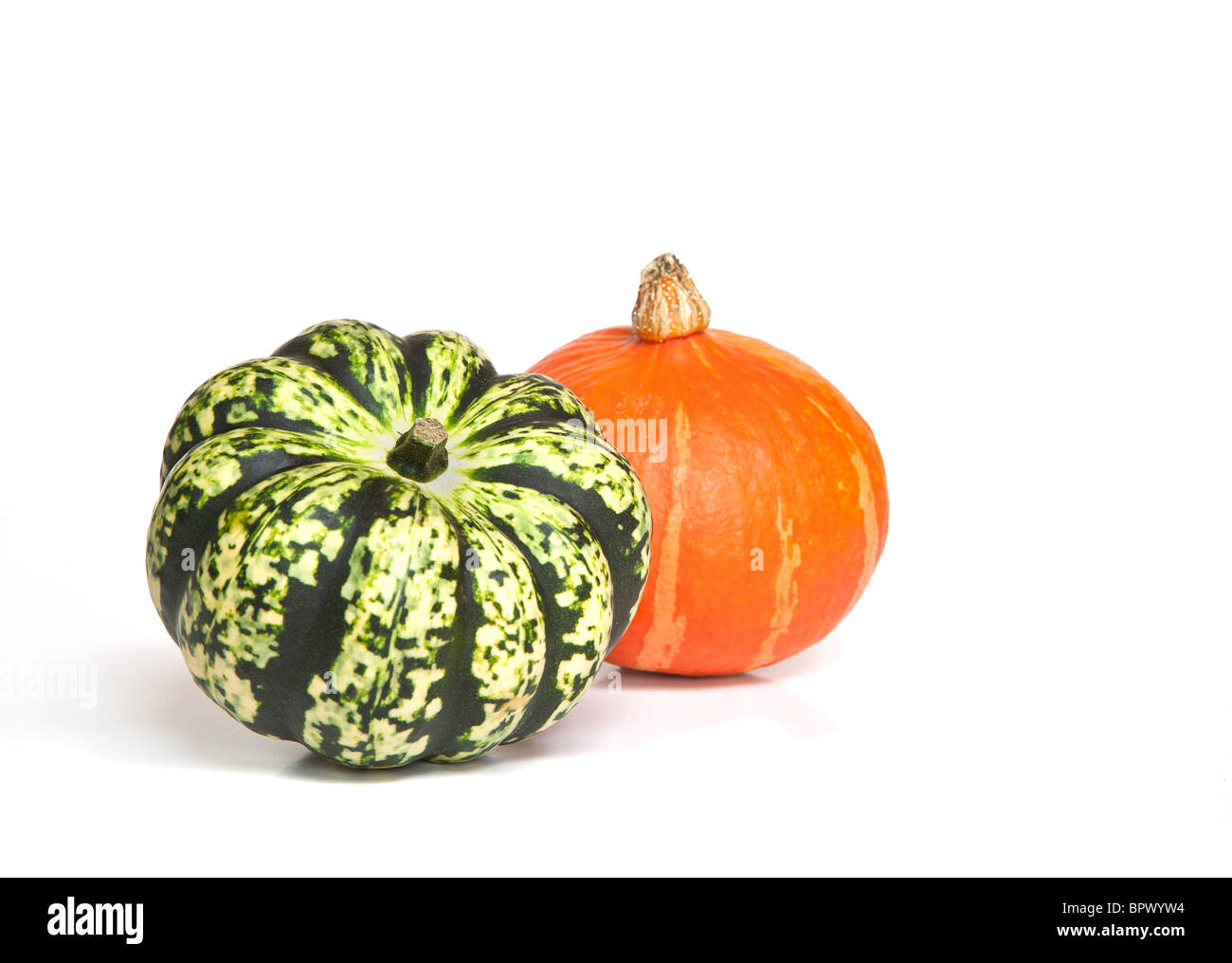 Two decorative squashes or gourds varieties Harlequin and Onion on
