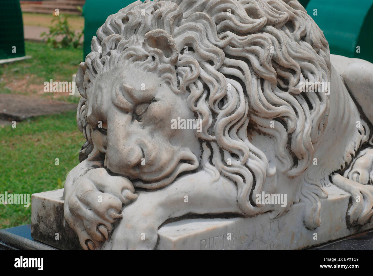 marble sculpture of lion ; kerala, india Stock Photo Alamy