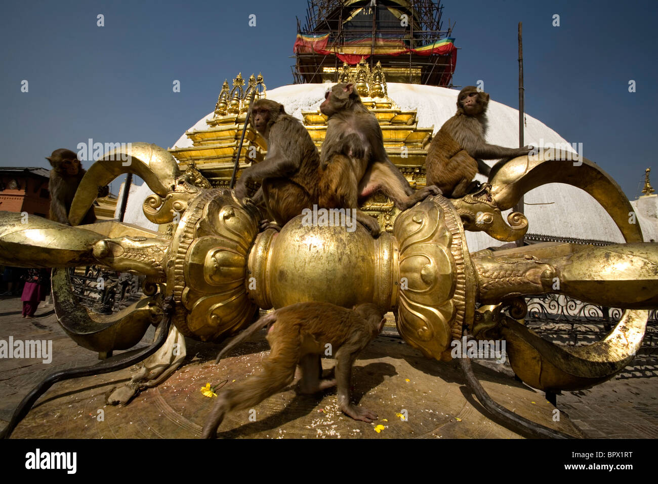 Vajra at Swayambhunath Stupa, also known as the Monkey Temple ...