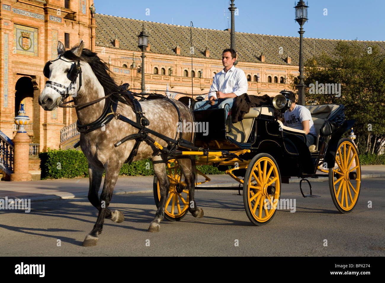 Trotting horse pulling carriage and tourists around the front of