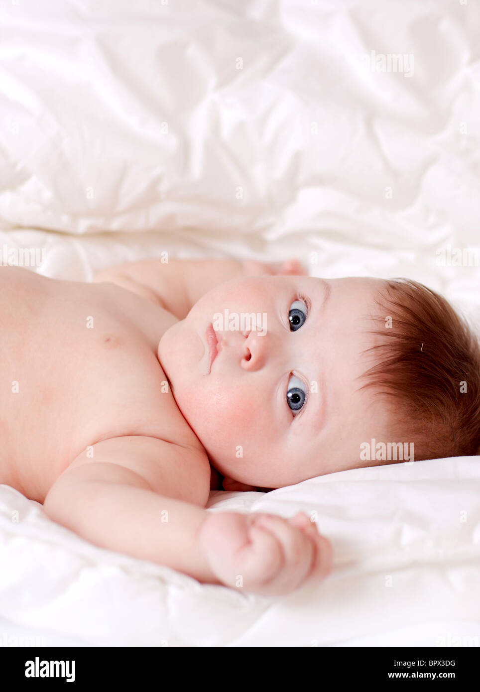 portrait of beautiful surprised baby on white background Stock Photo ...