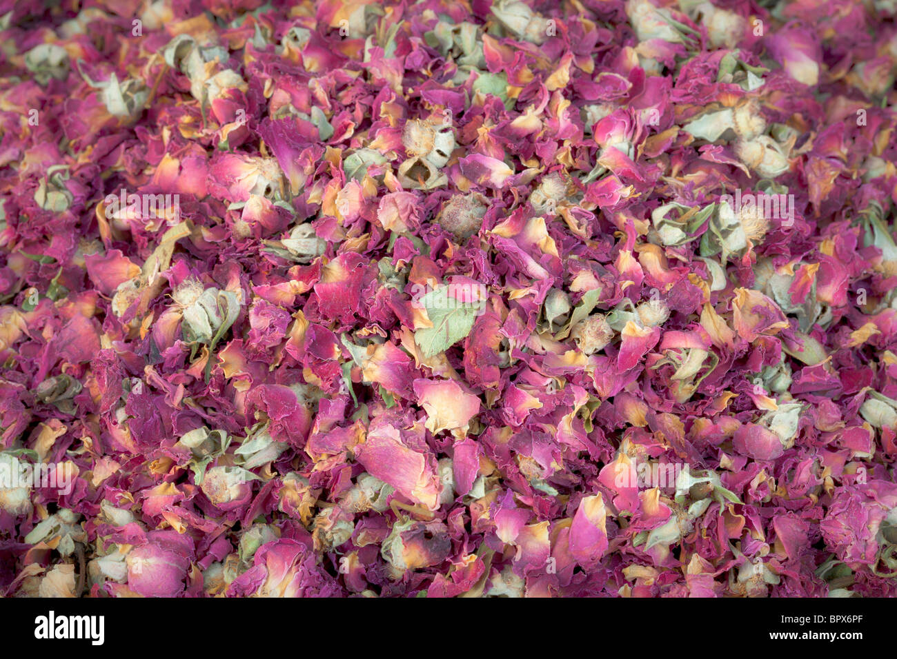 Dried rose petals Stock Photo Alamy