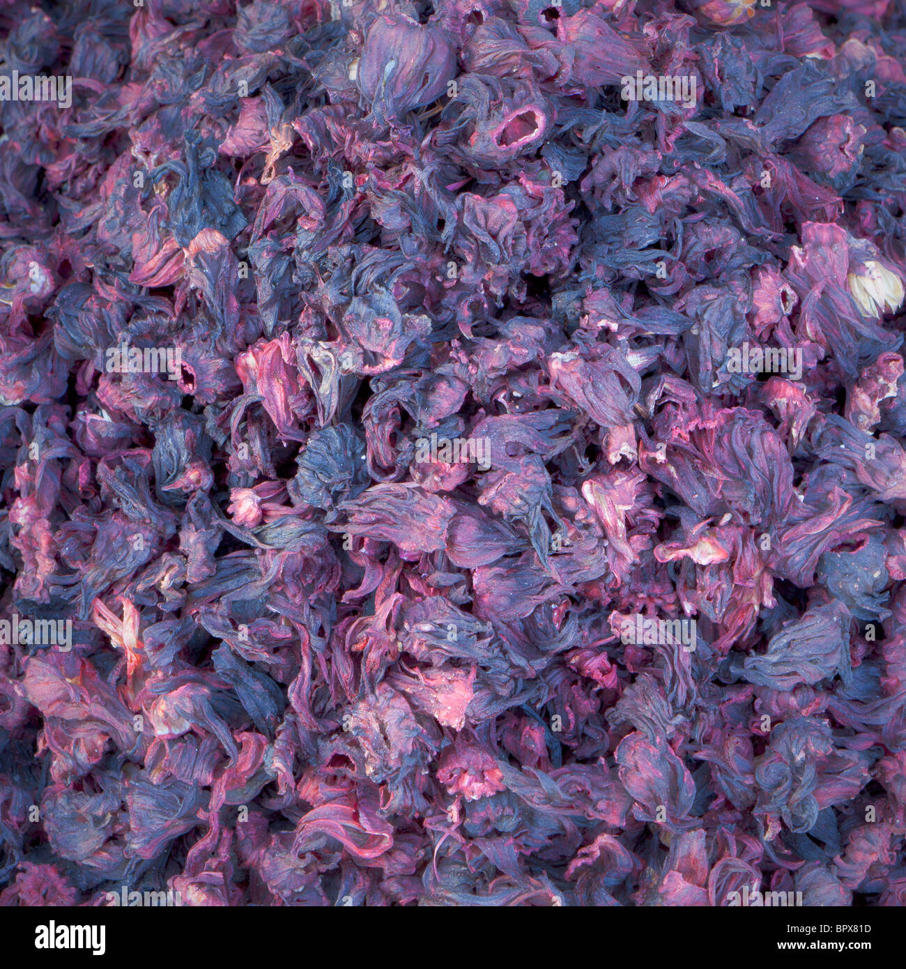 Dried Hibiscus Flowers Stock Photo Alamy