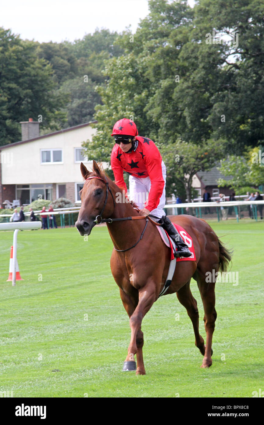 Betfred Sprint ' Goals Galore' Superior Mile Chase Cup Race meeting