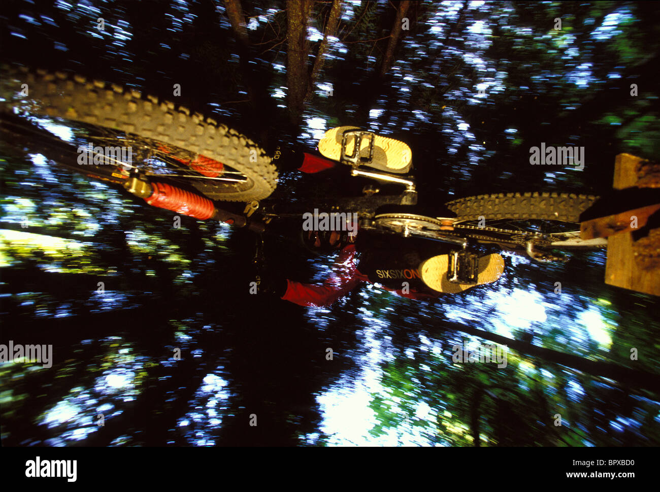 Man jumping mountain bike in the forest in Rossland, British Columbia, Canada (flash effects) Stock Photo