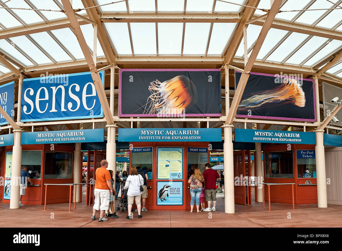 Mystic Aquarium, Connecticut, USA Stock Photo 31312912 Alamy