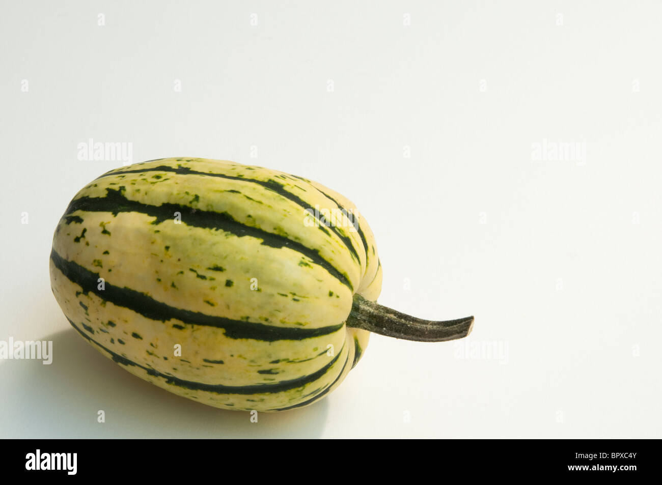 Delicata squash Stock Photo