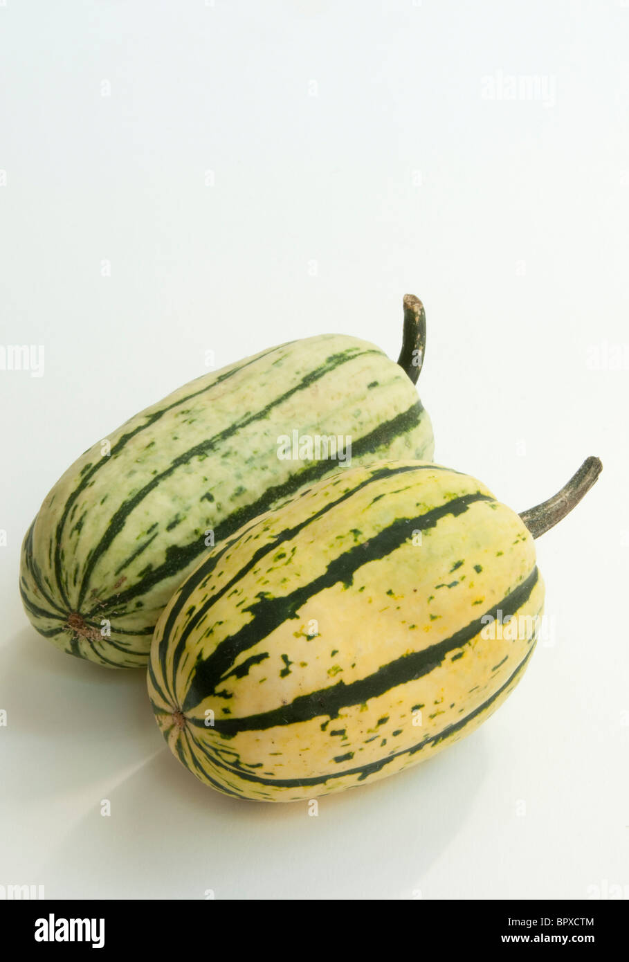 Delicata squash Stock Photo