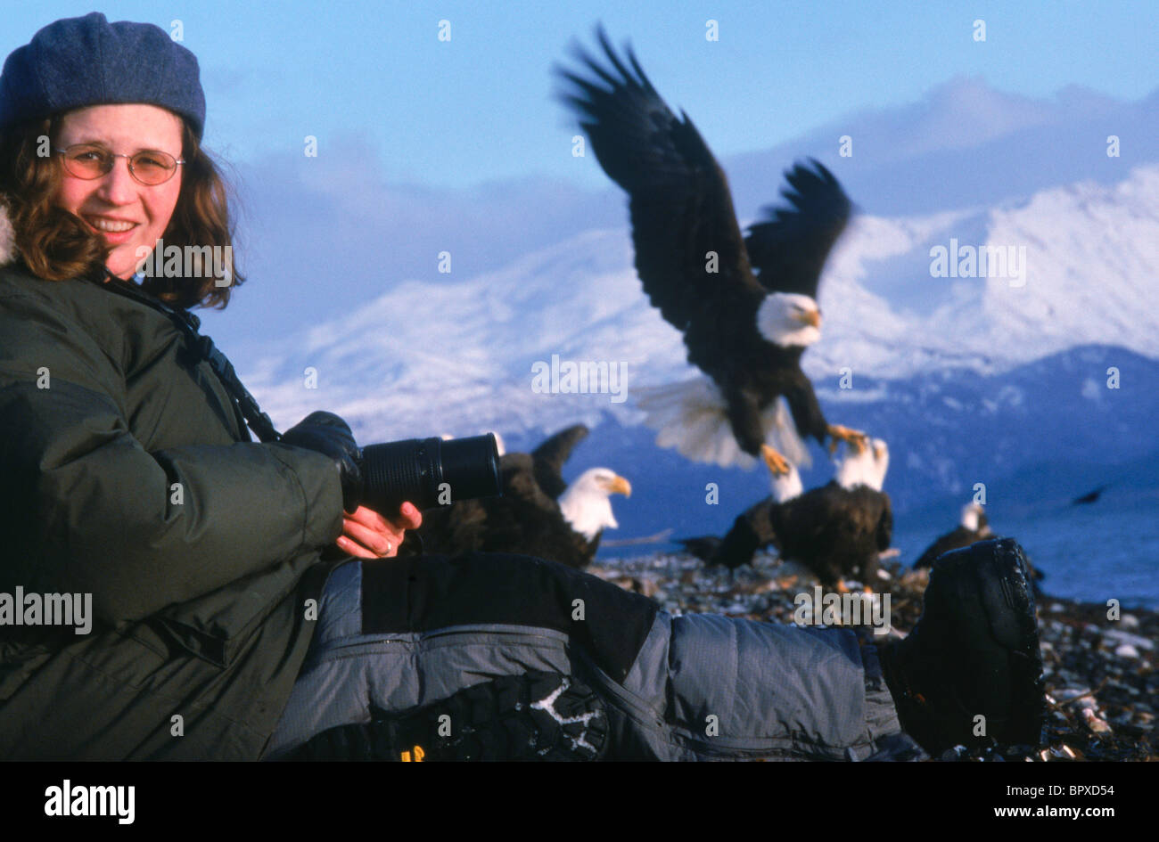 Photographer Ellen Anderson gets close-up while photographing eagles on the Alaska's Homer Spit. Stock Photo